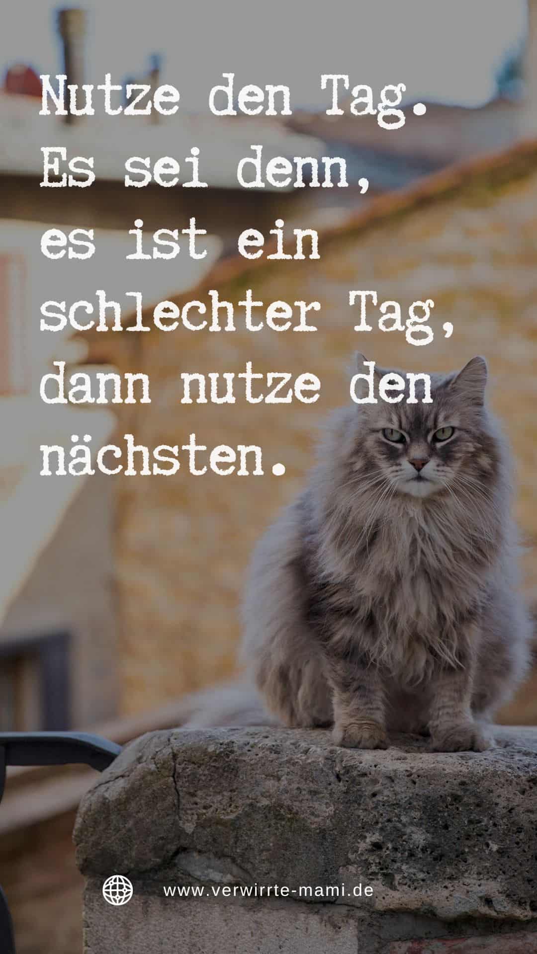 WhatsApp Status Sprüche 190 coole, lustige und starke Sprüche